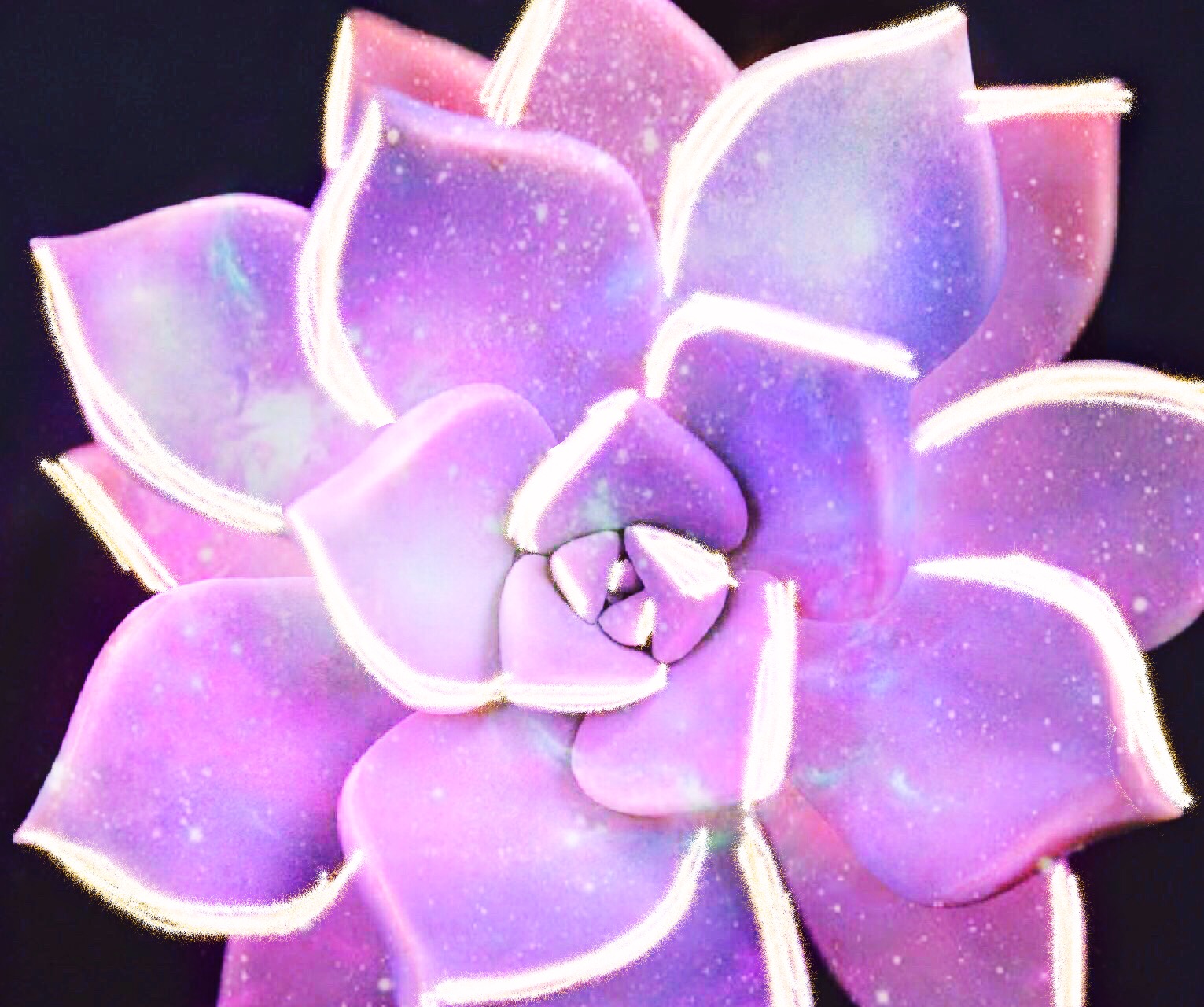 Freetoedit Flower Pinkaesthetic Purpleaesthetic Galaxy
