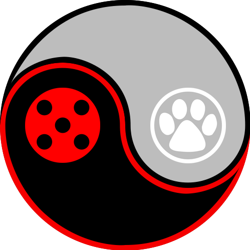 Miraculousladybug Miraculous Ladybug Catnoir Yinyang