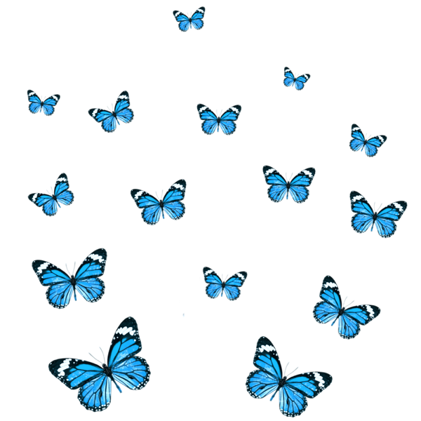 butterfly butterflies blue sticker by @cute60