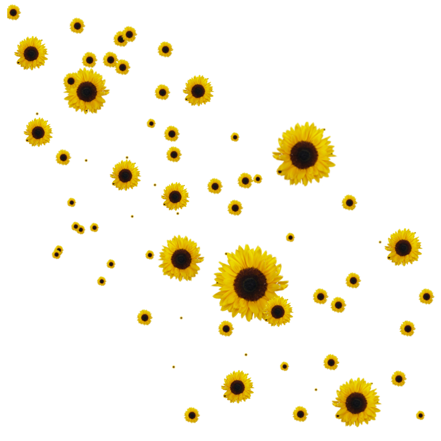 Free Free 185 Clipart Sun Flower Clipart Transparent Background Sunflower Sunflower Png SVG PNG EPS DXF File