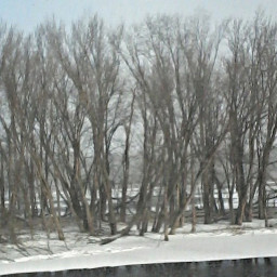 myphotography landscape winter trees snow