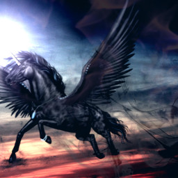freetoedit pegasus magic magical blackhorse