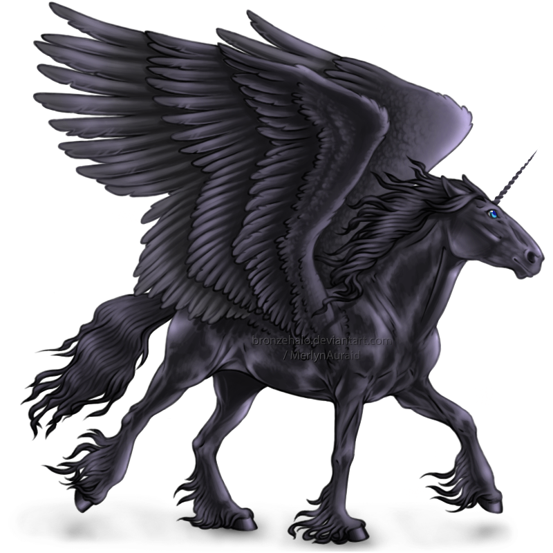 Как зовут крылатого. Черные Единороги и пегасы. Аликорн крылатый Единорог. Аликорн мифология. Пегас мифическое существо.