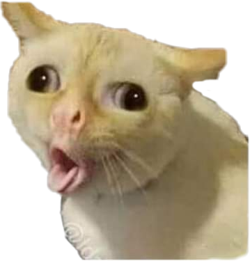 Gato meme - Imgflip