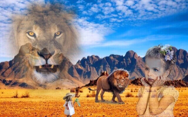 Lion Felin Littlegirl Savane Image By Lovelovelove Lion Felin Littlegirl Savane Image By Lovelovelove