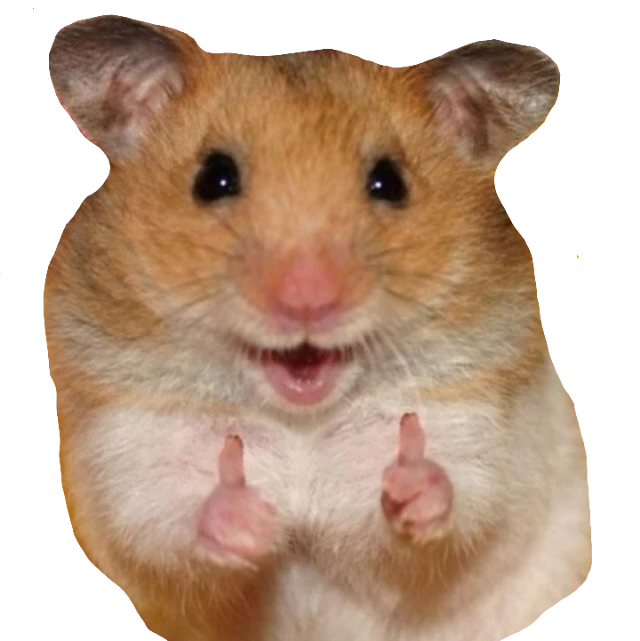 likerhamster hamster like Sticker by jamillycosta710