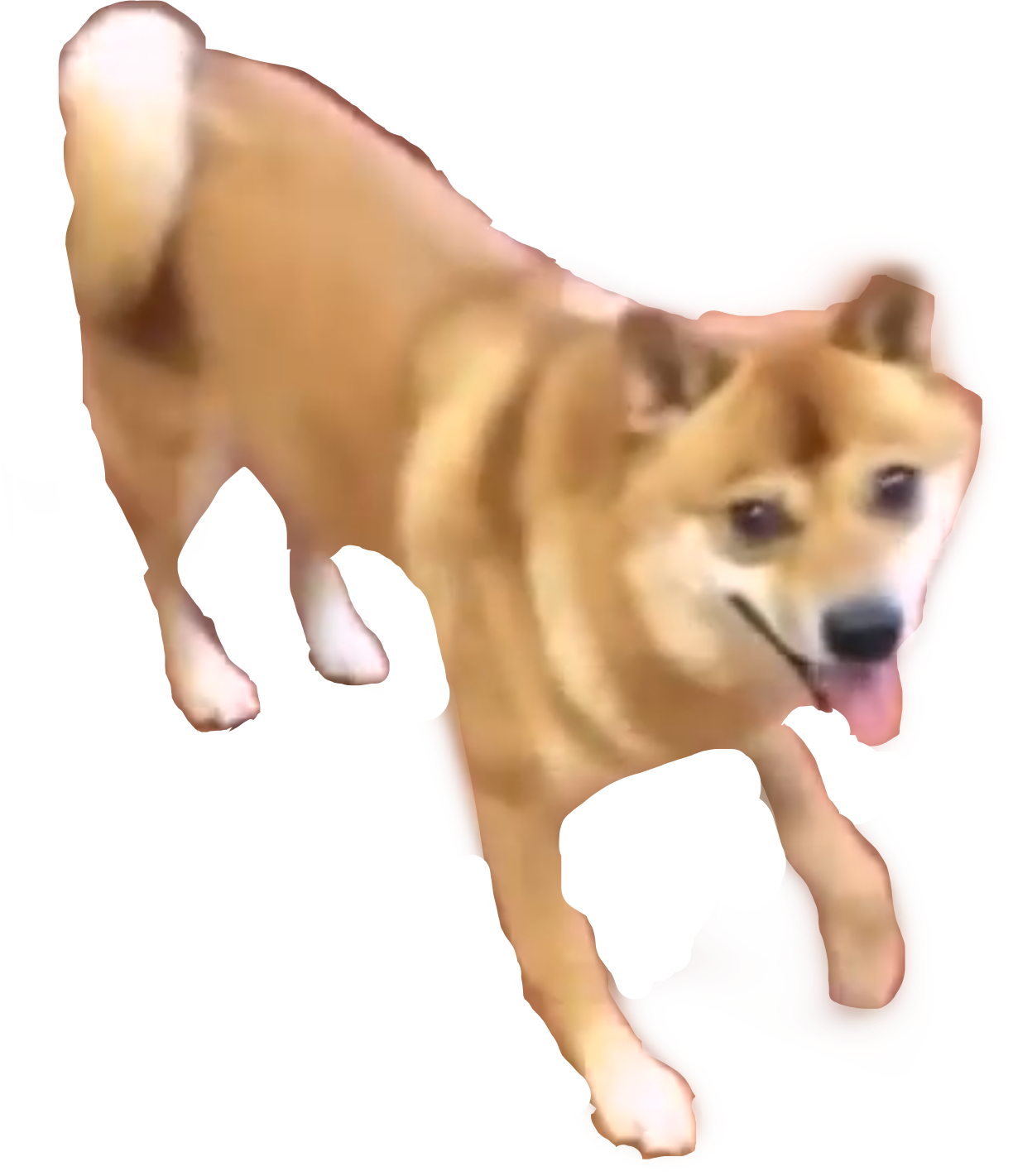 52 Dancing Dog Meme Gif Transparent