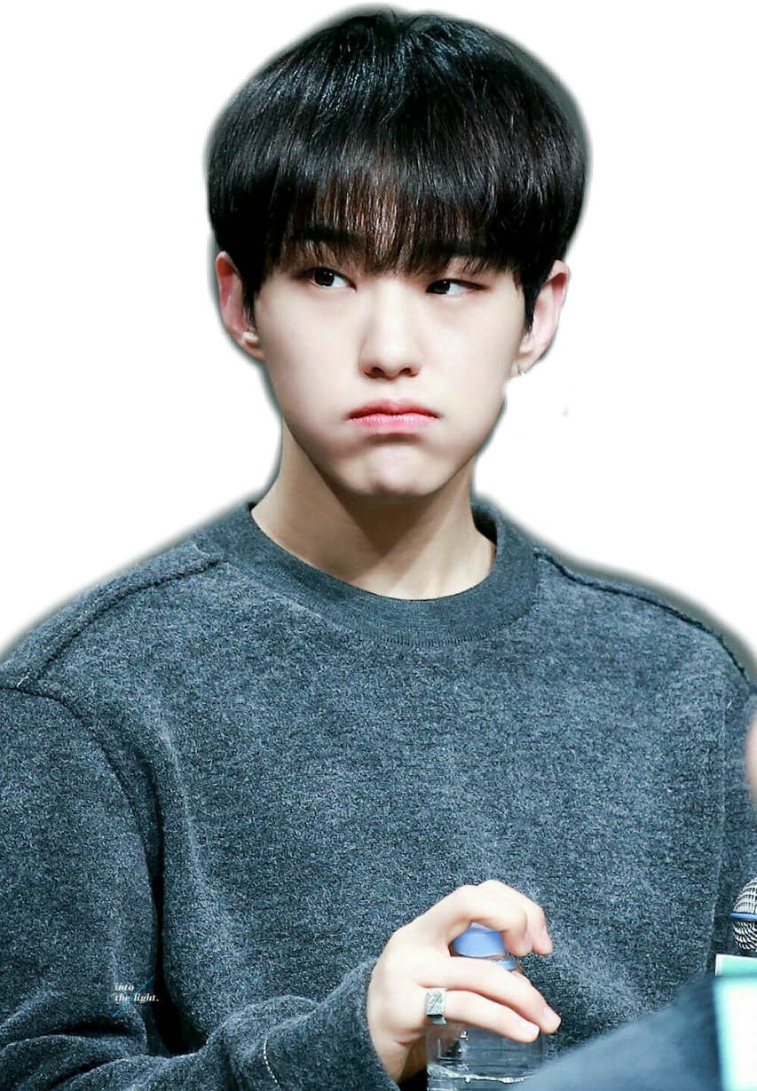 hoshi freetoedit #hoshi sticker by @eeveezilla