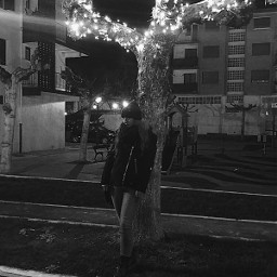 cristmastree cristmas blackandwhitephotography blackandwhite night