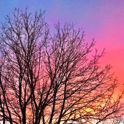 myphotography winter sky sunset beautiful pcpink pink pcsunnysnowyrainycloudyclear sunnysnowyrainycloudyclear