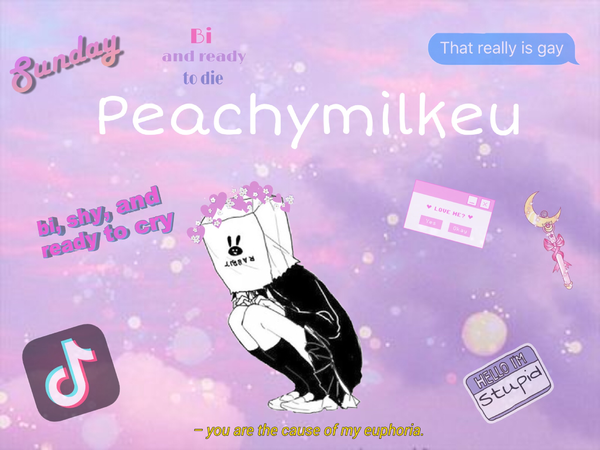 Should I Use This For My Youtube Banner Or My Picsart
