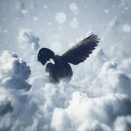 freetoedit blackandwhite clouds angel mystery