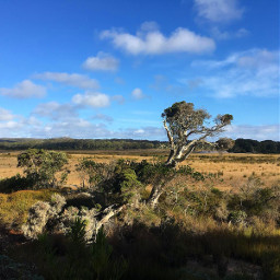 freetoedit landscape westernaustralia
