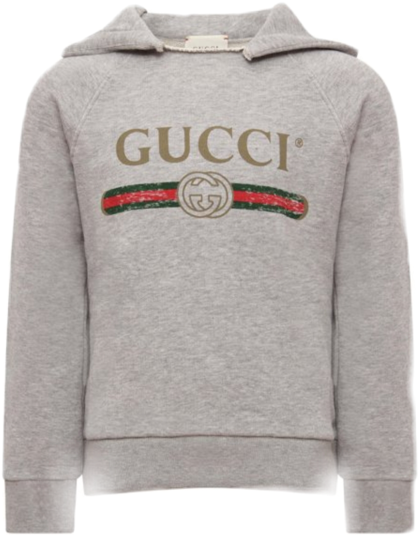 felpa gucci inverno like sticker by @_francescarecchiuti_