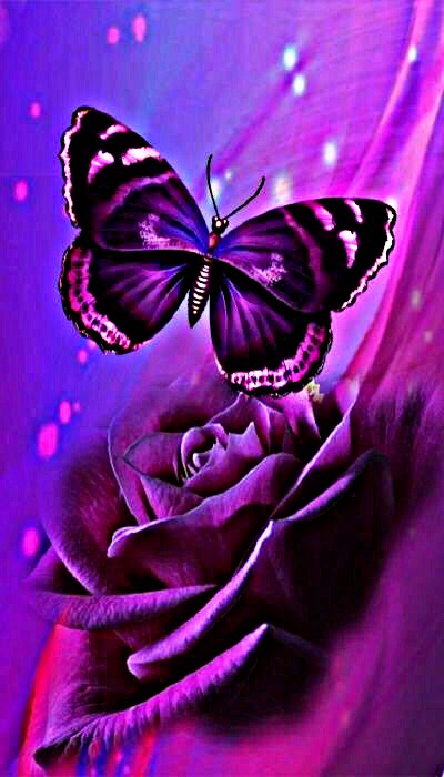 freetoedit pink purple butterfly rose image by @kimmytasset