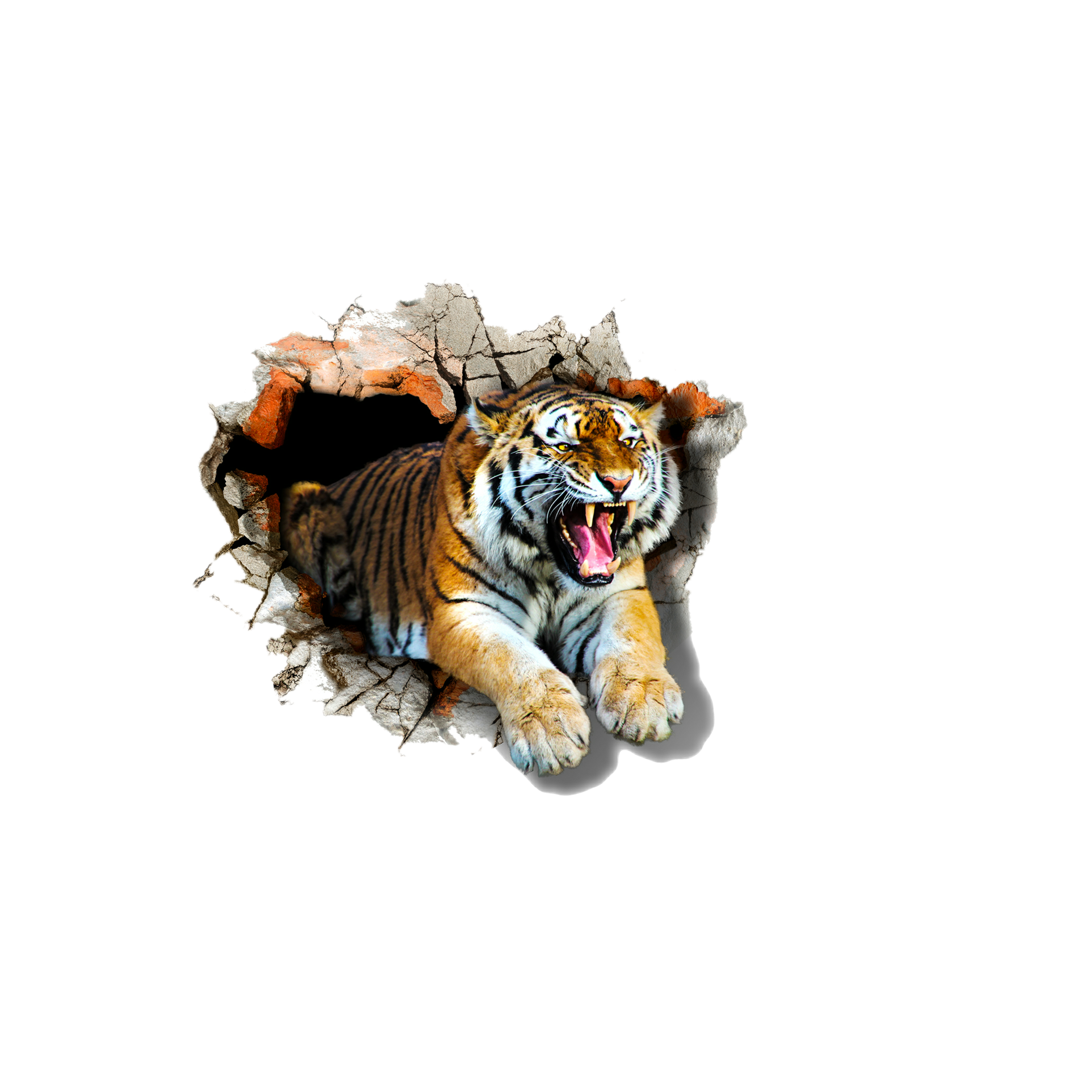 tiger roar freetoedit #tiger#roar sticker by @karahzap
