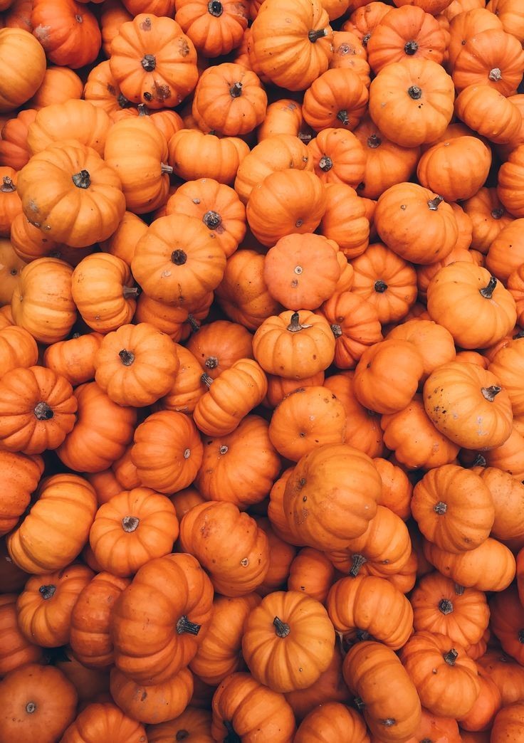 freetoedit pumpkin orange  background tumblr aesthetic  