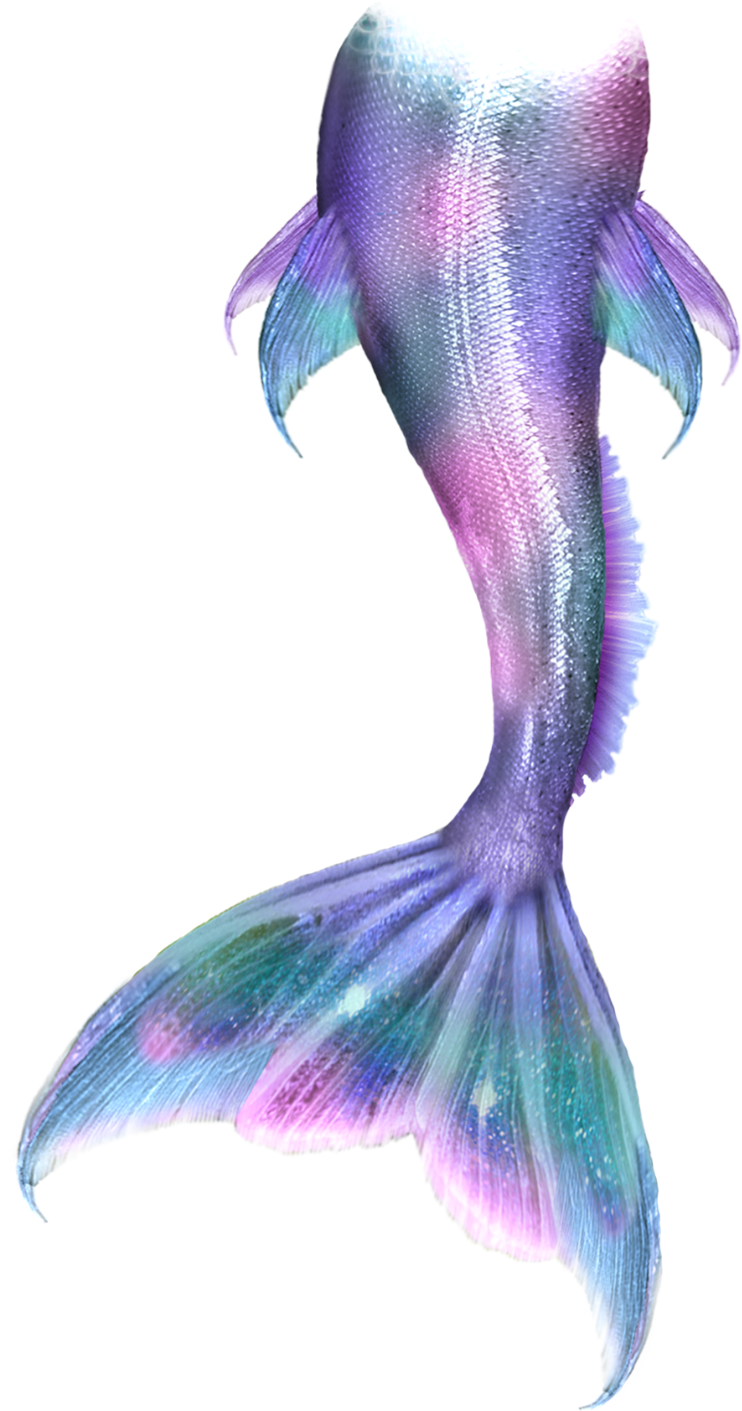 mermaid tail sirena 287542050076211 by @anamigamo.