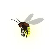 firefly torchbug sticker freetoedit