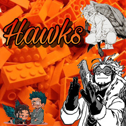 freetoedit hawks bnha anime mha