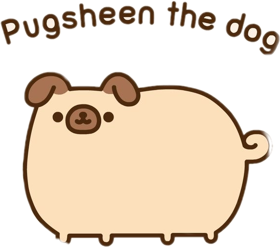 pugsheen the dog