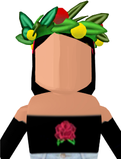Aesthetic Roblox Profile Pictures No Face