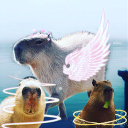 freetoedit capybara
