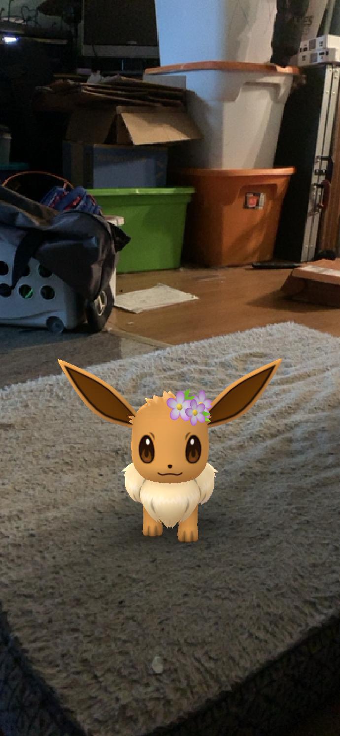 I Got My Flower Crown Eevee For Pokemon Go Celebration