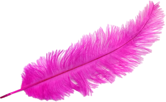 scfeather feather pink pinkfeather sticker by @xxambercx