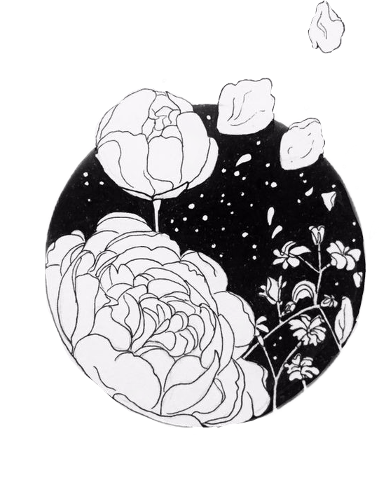 Sticker Adesivos Blckandwhite Disegno Fiori Stickers