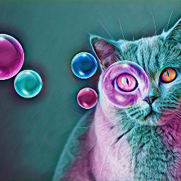 freetoedit galaxy cat bubbles colorful