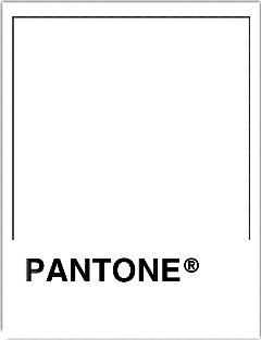 pantonecolor pantone cuadro polaroidphoto freetoedit