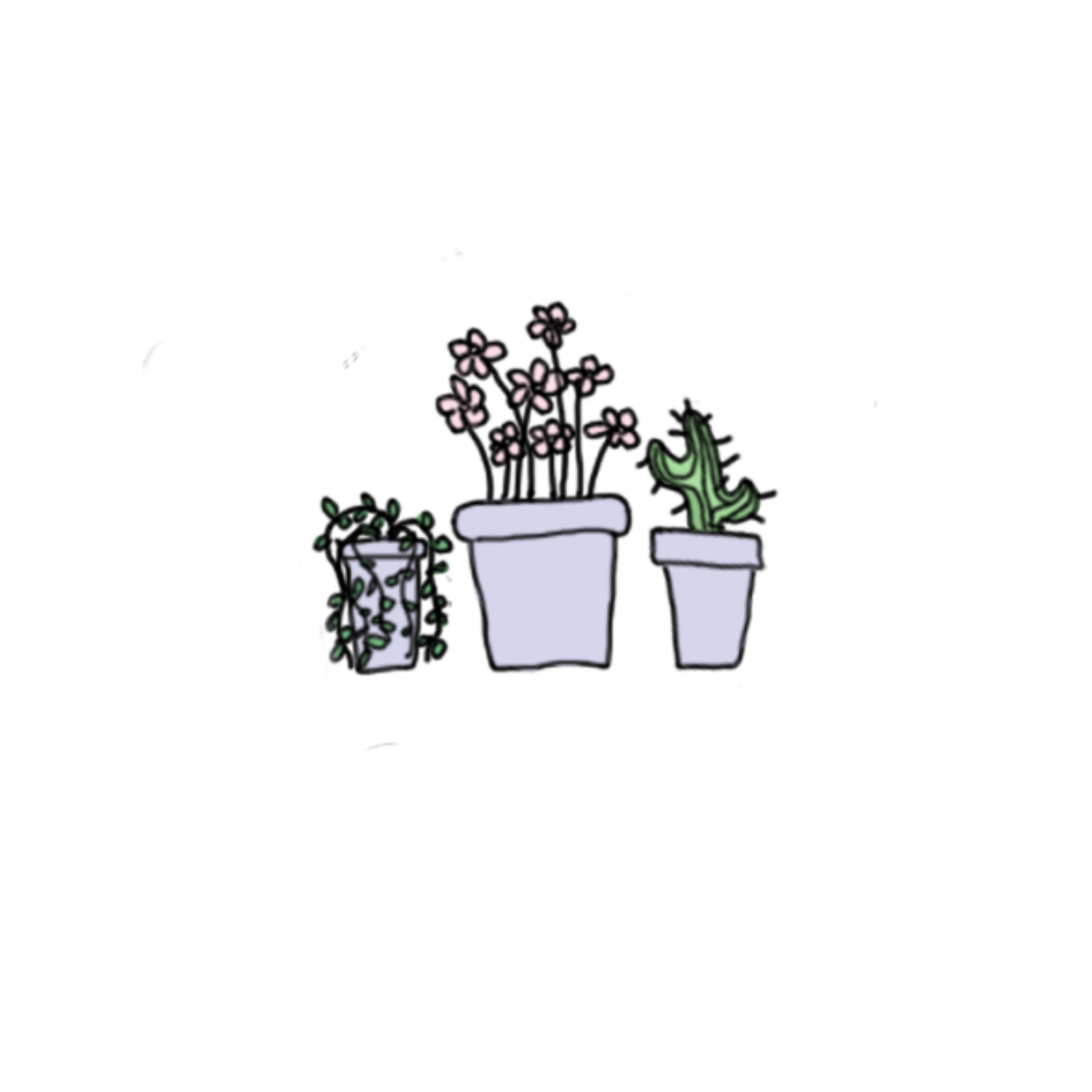 Aesthetic Plants Drawing - White Flower Aesthetic💫 | Bodorwasuor