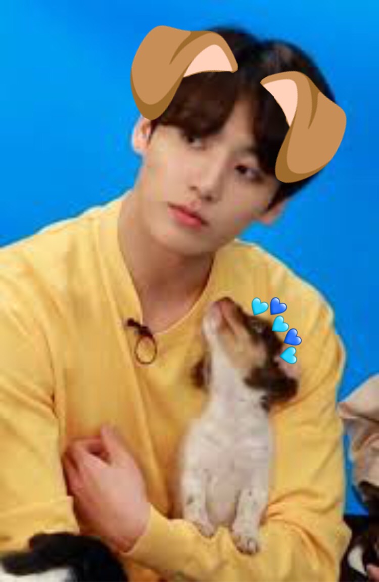 bts dog hat