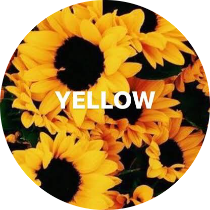 Yellow Flower Background Aesthetic