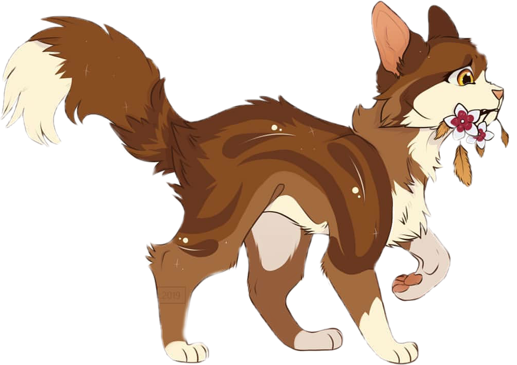 warrior cats beautiful
