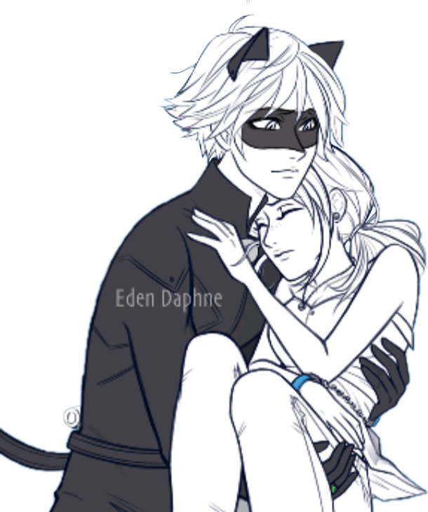 Miraculous Marichat Eden Marinette Chatnoir Catnoir Fan