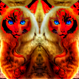 cat cats art fantasy edit freetoedit