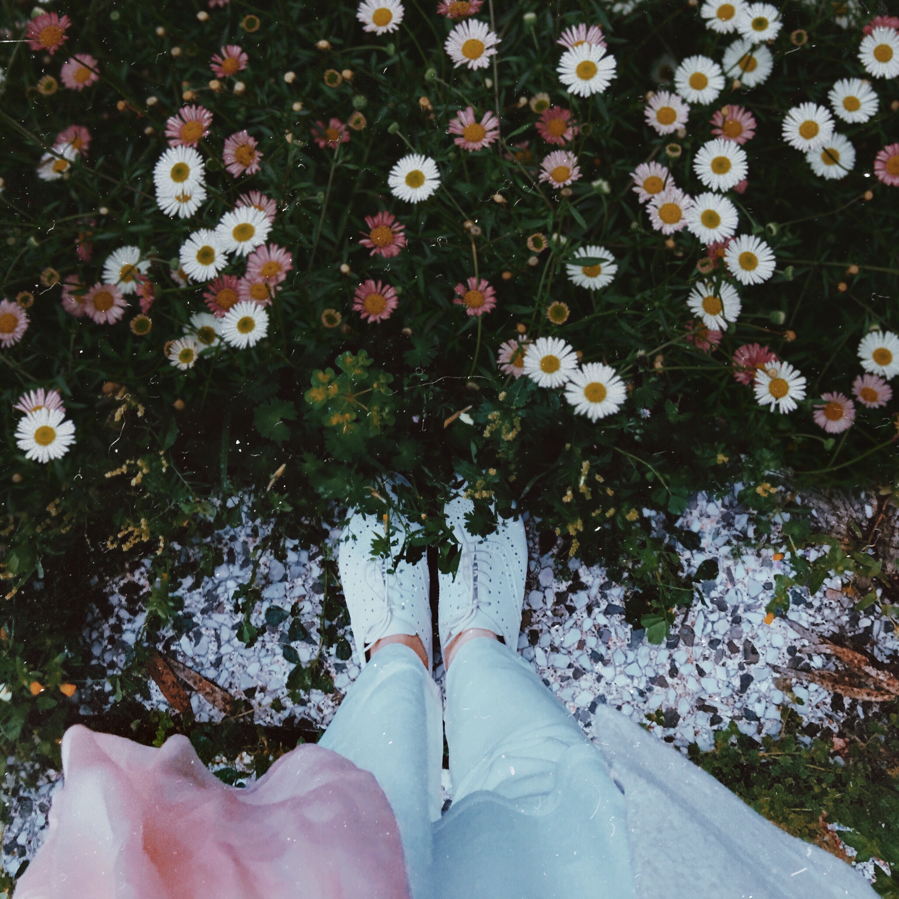 Spring flowers 🌼#spring #flowers #nature #shoes #vintage #lebanon #beirut