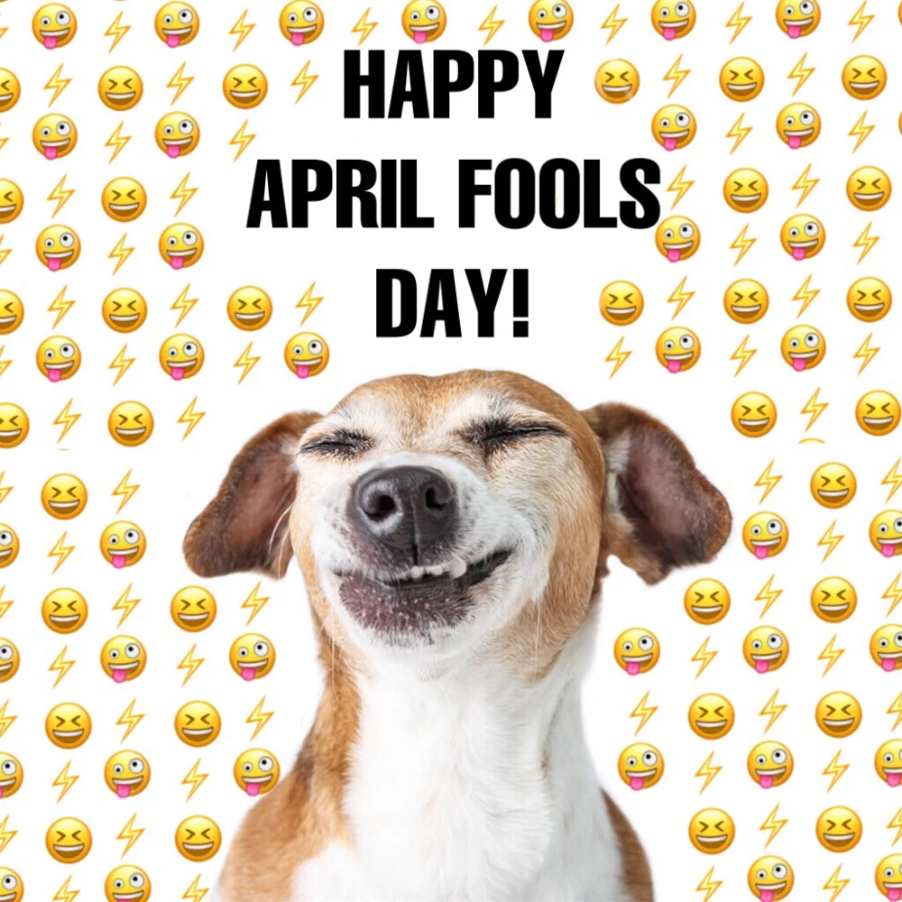 Happy #AprilFools Day! Who