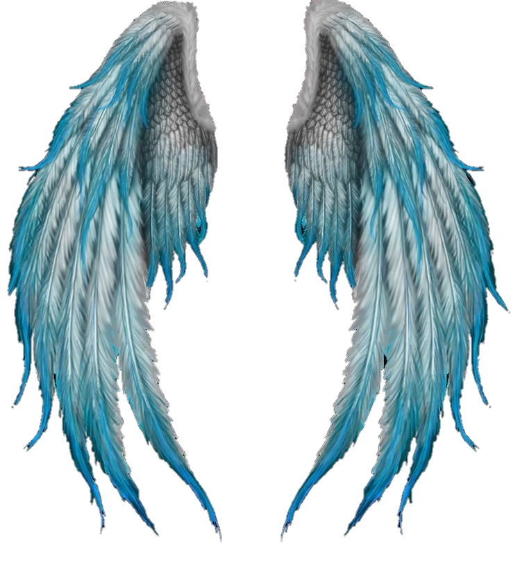 wings wingsticker freetoedit #wings sticker by @biaana102