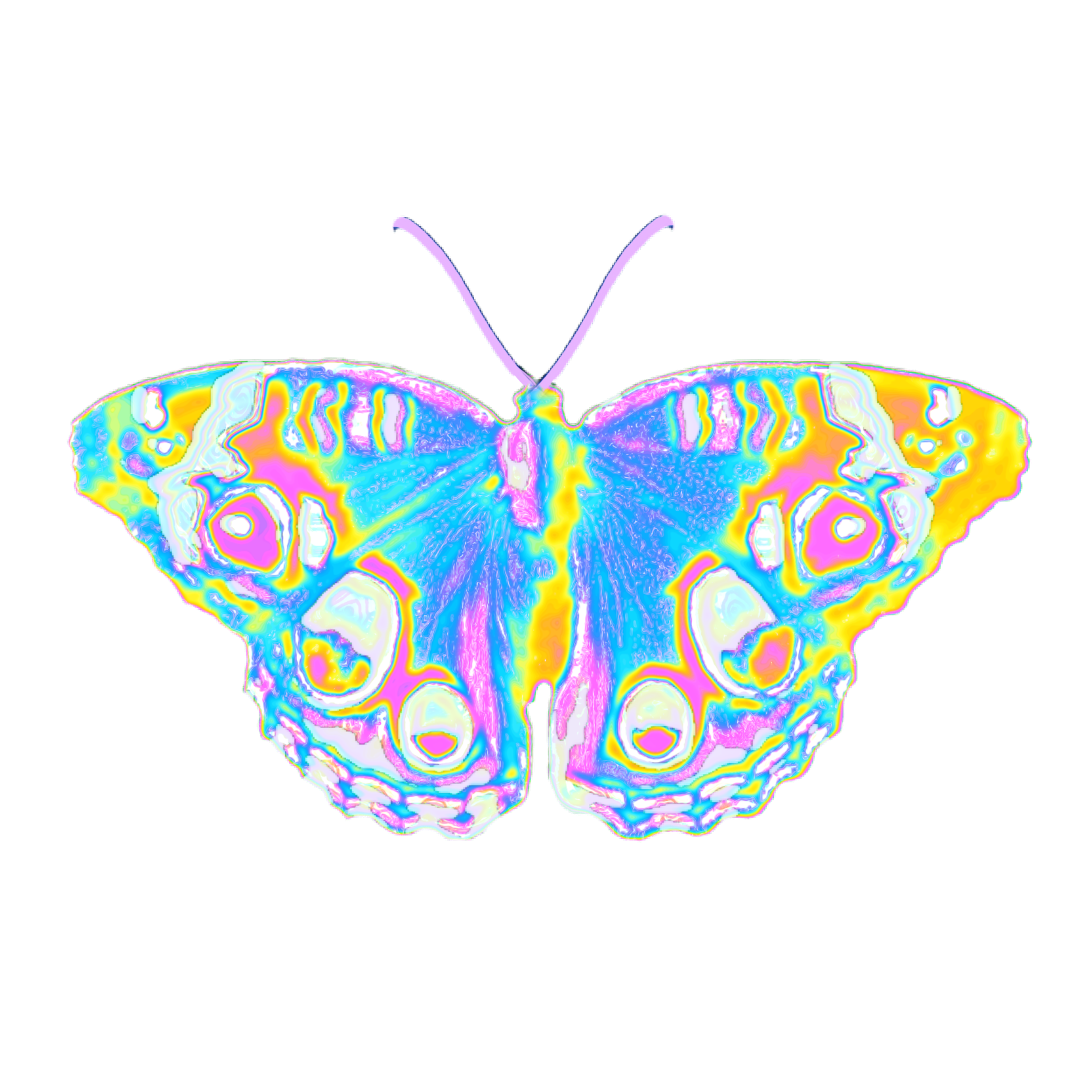 Pastel Aesthetic Butterfly Png | aesthetic guides