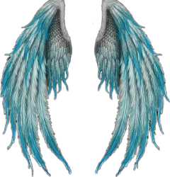 freetoedit scwings wings