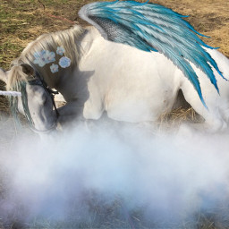 freetoedit horse blue