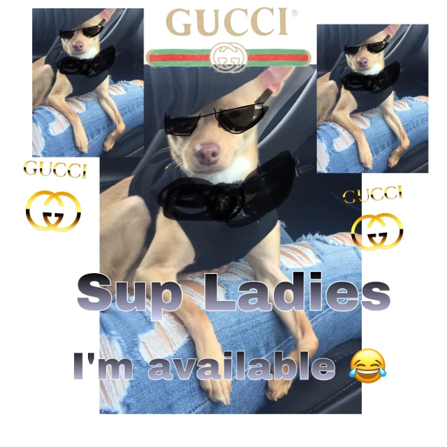 Gucci ass well