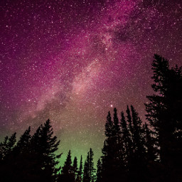 freetoedit trees sky galaxy forest