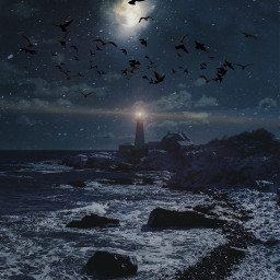 freetoedit birds lighthouse light sea