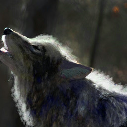 freetoedit wolf digitalart digitalpainting