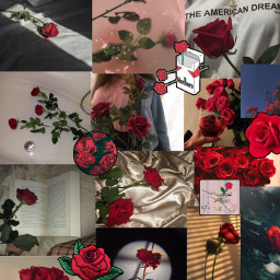 freetoedit wallpaper wallpaperedit roses rose