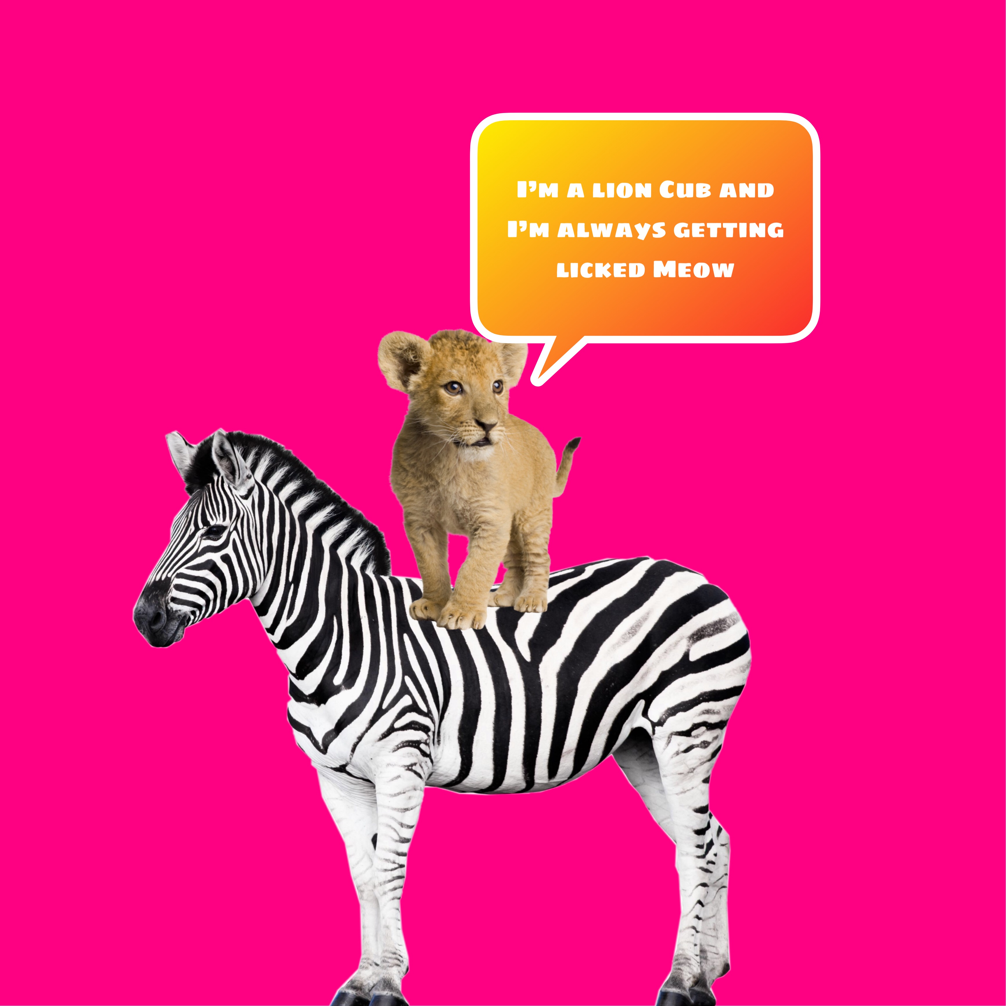 Freetoedit Lion Cub Meow 294185988014201 By Lillycatyt